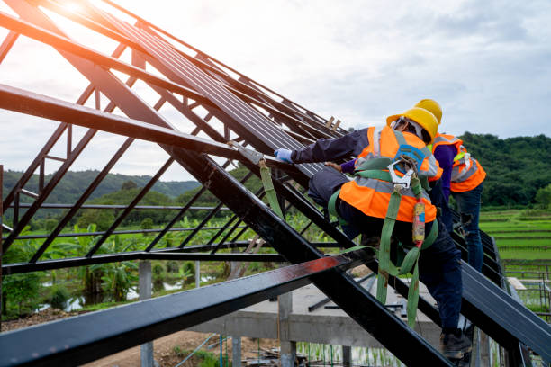 Best Roof Maintenance Services  in Morgantown, MS