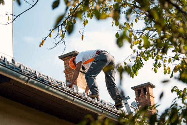 Best Best Roofing Contractors  in Morgantown, MS