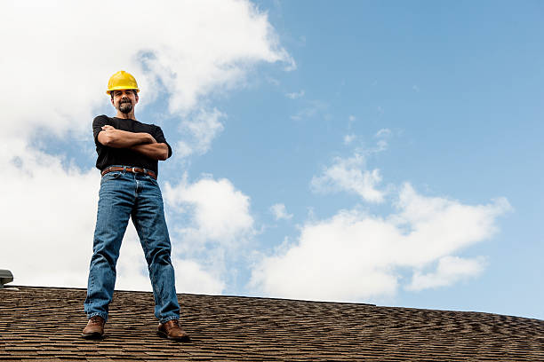 Best Roof Gutter Cleaning  in Morgantown, MS